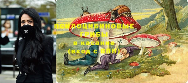 бошки Вяземский