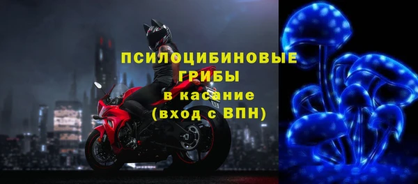 бошки Вяземский