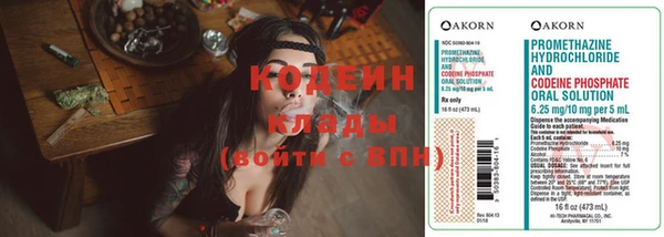 бошки Вяземский