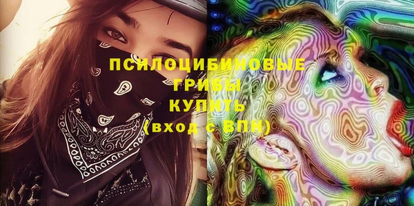 бошки Вяземский