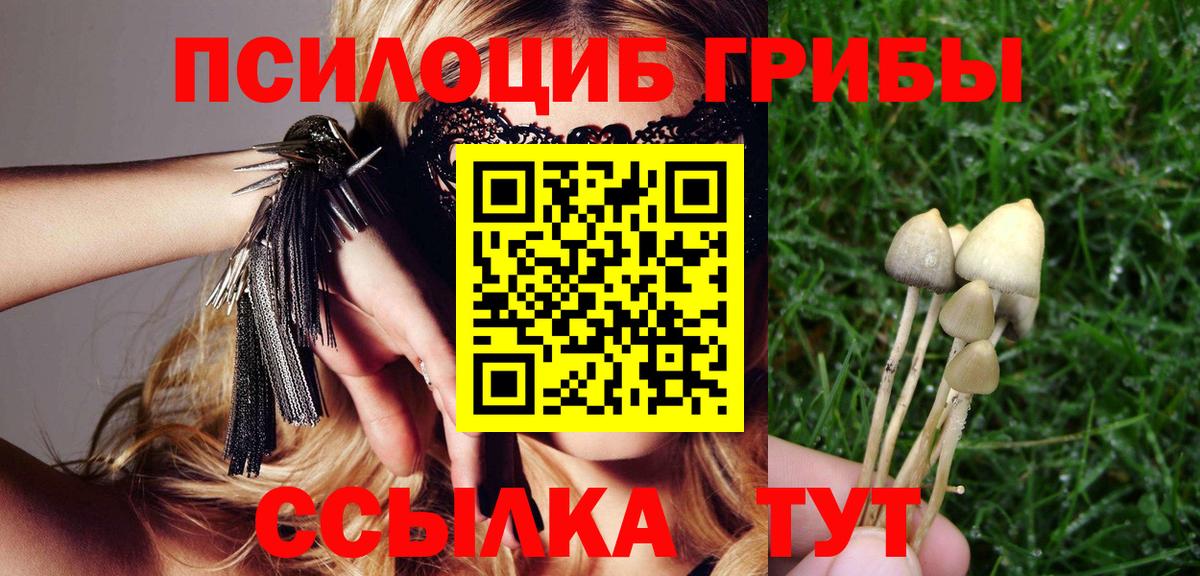 Псилоцибиновые грибы MAGIC MUSHROOMS Железногорск